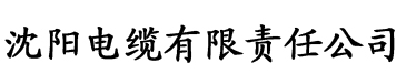 污污的黄色视频电缆厂logo